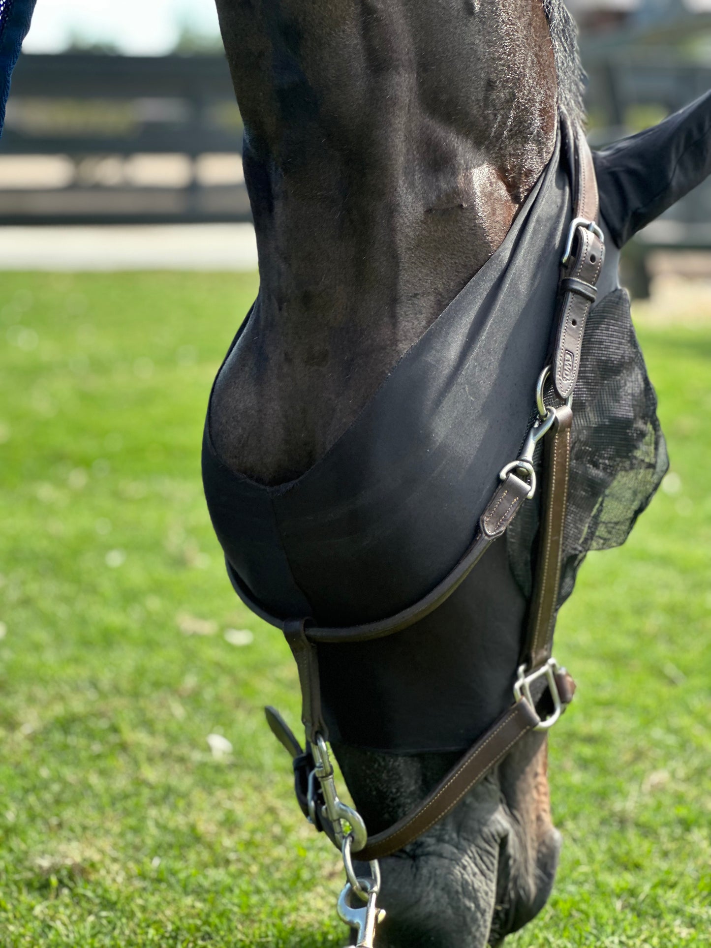 Equifit Essential® FlyMask