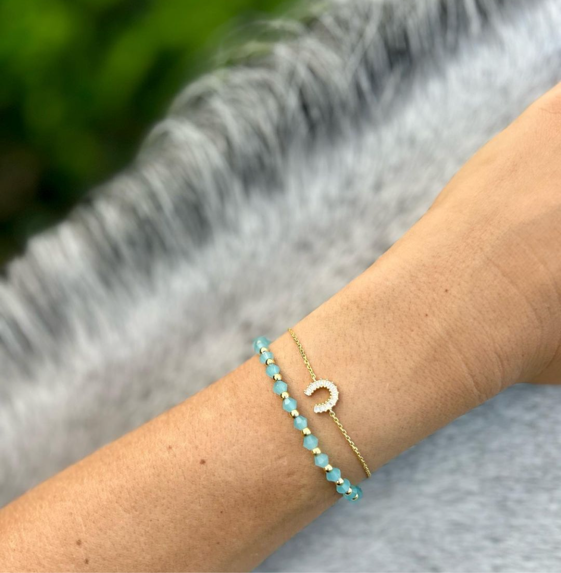 Lucky Horseshoe Bracelet