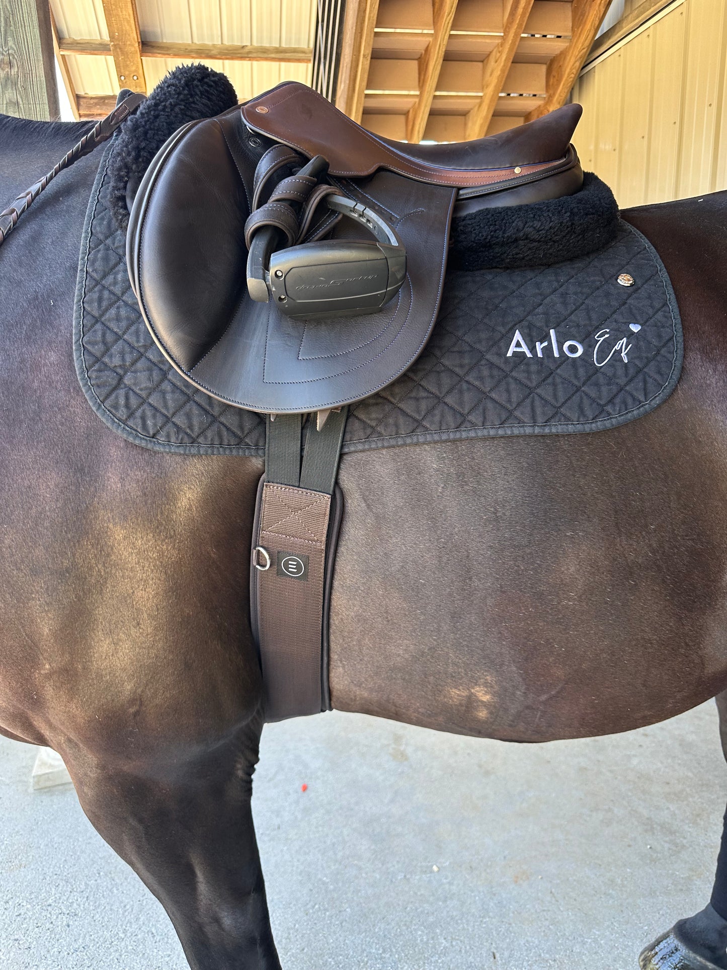 Equifit Essential Schooling Girth