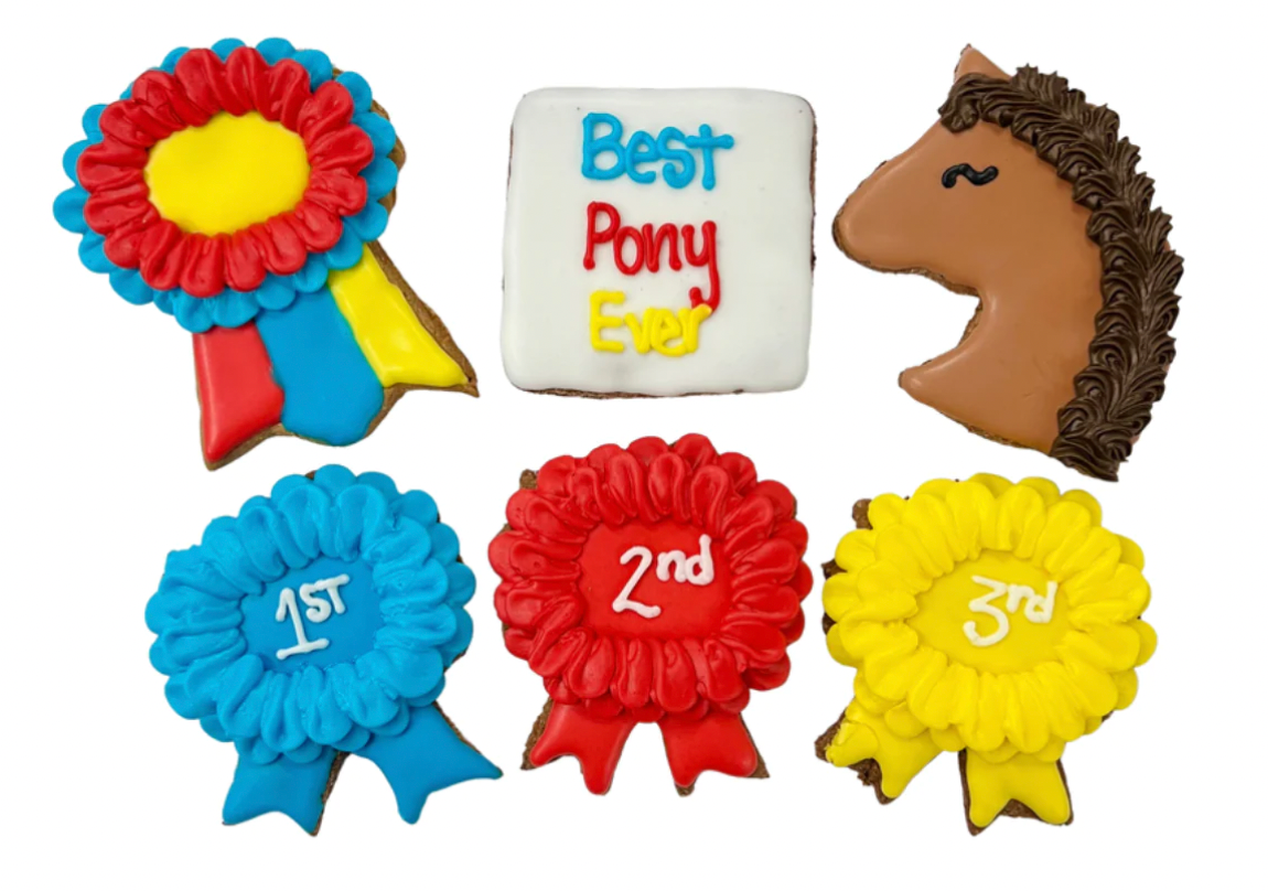 Snaks 5th Avenchew Best Pony Ever!