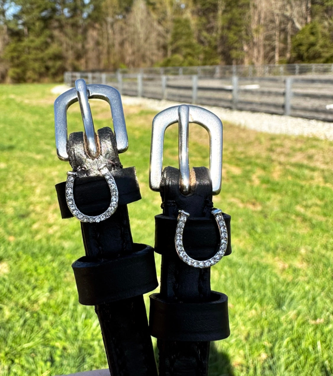 Horse Shoes Bling Spur Straps