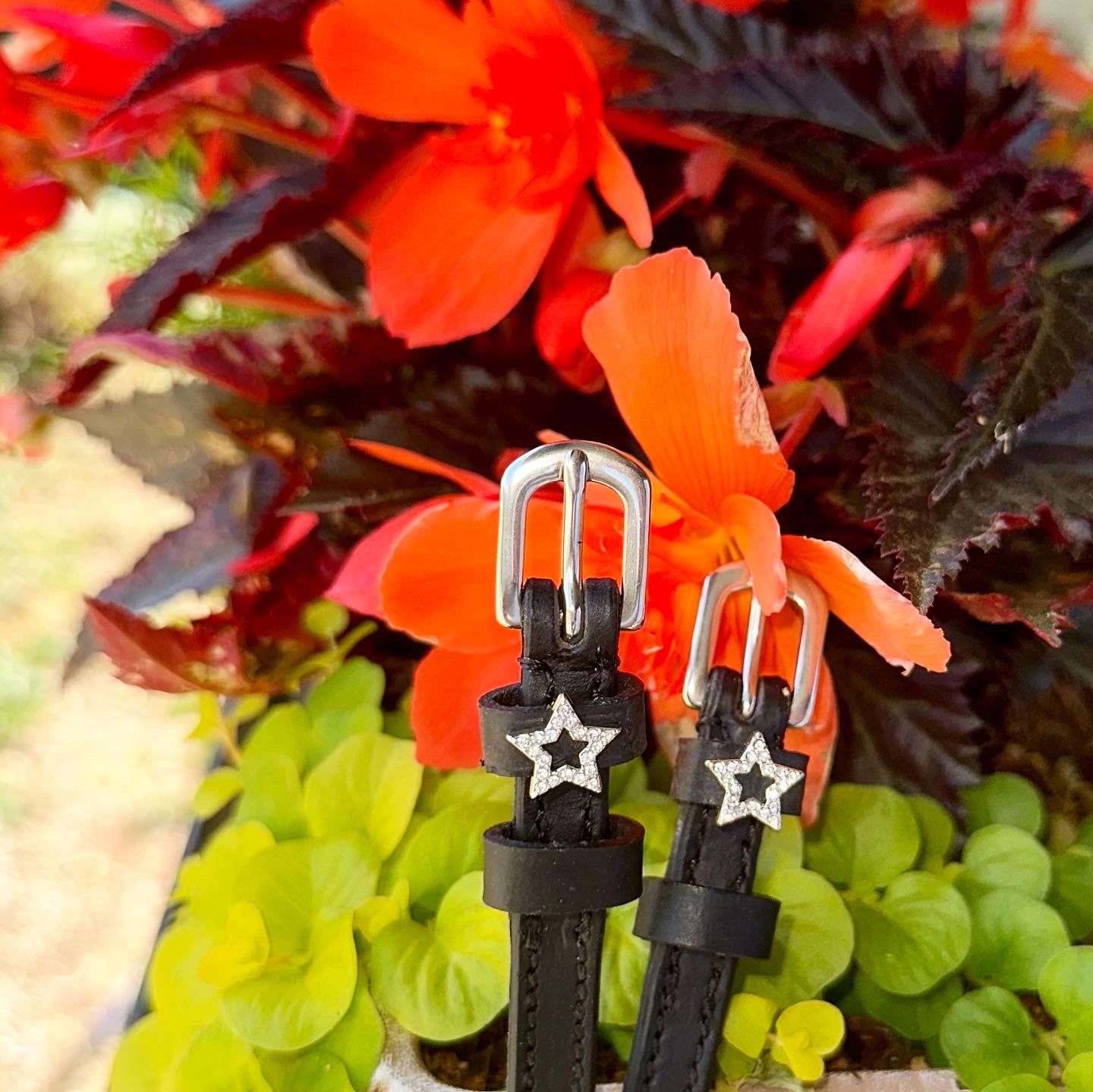 Bling Star Spur Straps